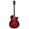 Guitarra Electroacustica Ibanez AEG24II...